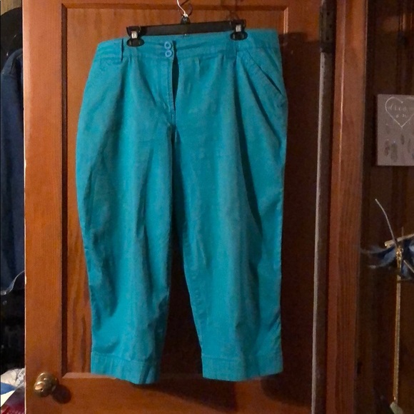 Kim Roger’s Capris - Picture 1 of 3